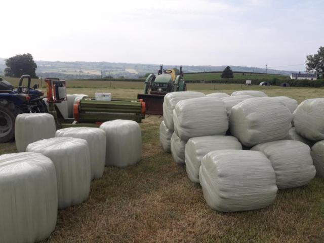 haylage field 1 wrapped
